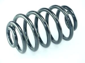 Coil Spring BMW 3er (E30)