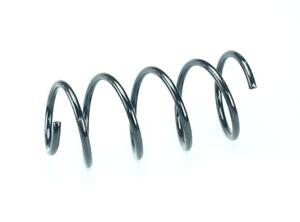 Coil Spring BMW X1 (E84)