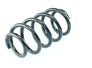 Coil Spring DACIA Logan Express (FS)