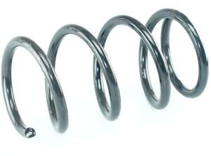 Coil Spring FORD Maverick (--)