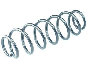 Coil Spring FORD Fusion (JU)