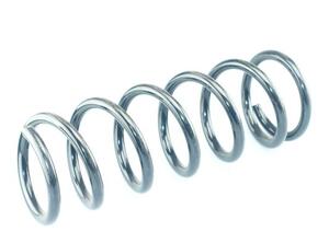 Coil Spring LEXUS IS I (GXE1, JCE1)