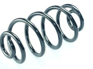 Coil Spring RENAULT Vel Satis (BJ0)