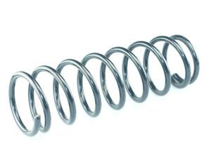 Coil Spring SUZUKI Alto (FF)