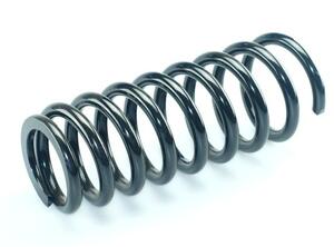 Coil Spring MERCEDES-BENZ S-Klasse (W140), MERCEDES-BENZ S-Klasse Coupe (C140)