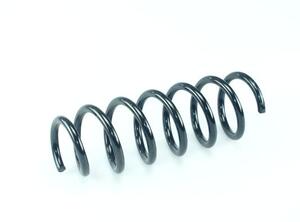 Coil Spring BMW 5 Touring (F11), BMW 5 Gran Turismo (F07)