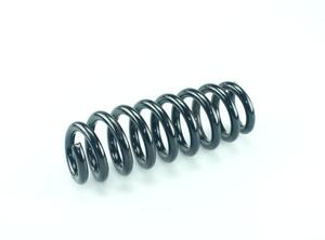 Coil Spring BMW 3 Convertible (E93), BMW 3 Touring (E91)