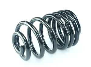 Coil Spring NISSAN PRIMASTAR Bus (X83), NISSAN PRIMASTAR Van (X83)