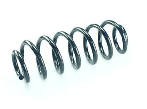 Coil Spring VW PASSAT (3C2), VW PASSAT (362), VW TIGUAN (5N_), VW TIGUAN VAN (5N_)