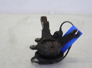 Stub Axle RENAULT CLIO II (BB_, CB_), RENAULT CLIO III (BR0/1, CR0/1), RENAULT THALIA I (LB_)