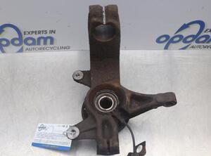 Stub Axle RENAULT MEGANE II (BM0/1_, CM0/1_), RENAULT MEGANE II Saloon (LM0/1_)