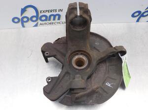 Stub Axle VW POLO (9N_), VW POLO Saloon (9A4, 9A2, 9N2, 9A6)