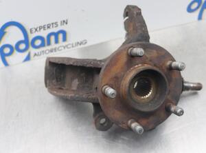 Stub Axle FORD TRANSIT CONNECT (P65_, P70_, P80_)