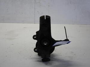 Stub Axle FORD FOCUS C-MAX (DM2), FORD C-MAX (DM2), FORD KUGA I, FORD KUGA II (DM2)