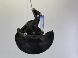 Stub Axle VW PASSAT (3C2), VW PASSAT (362)