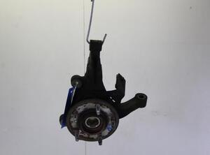 Stub Axle OPEL ANTARA (L07)