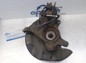 Stub Axle TOYOTA VERSO S (_P12_)