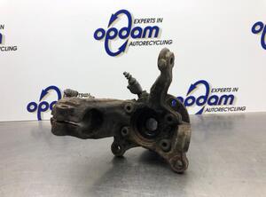 Stub Axle SEAT LEON (1P1), VW TIGUAN (5N_), VW TIGUAN VAN (5N_), VW GOLF V (1K1)