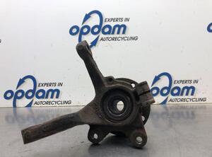 Stub Axle RENAULT TWINGO I (C06_)