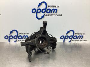 Stub Axle FIAT FIORINO Box Body/MPV (225_), FIAT QUBO (225_), FIAT FIORINO MPV (225_)