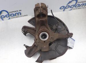 Stub Axle VW GOLF PLUS (5M1, 521), VW GOLF PLUS Van (521)