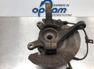 Stub Axle SUZUKI ALTO (FF)