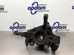 Stub Axle FIAT FIORINO Box Body/MPV (225_), FIAT QUBO (225_), FIAT FIORINO MPV (225_)