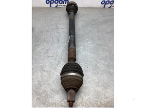 Drive Shaft SEAT IBIZA IV (6J5, 6P1), SEAT IBIZA IV SC (6J1, 6P5), AUDI A3 (8L1), VW POLO (6R1, 6C1)