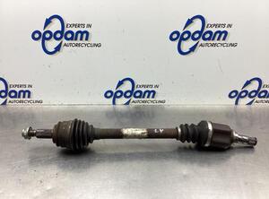 Drive Shaft RENAULT KANGOO Express (FW0/1_)