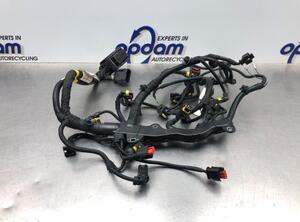 Wiring Harness FIAT 500 (312_), FIAT 500 C (312_), ABARTH 500 / 595 / 695 (312_), ABARTH 500C / 595C / 695C (312_)