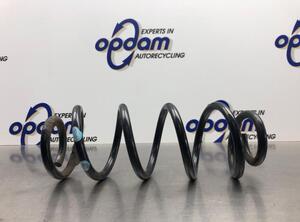 Coil Spring SUZUKI SX4 (EY, GY), SUZUKI SX4 Saloon (GY, RW)