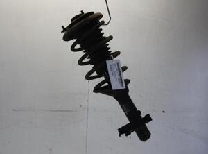 Suspension Strut MG MG ZR, ROVER 25 Hatchback (RF)