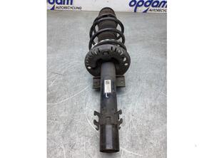 Suspension Strut VW POLO (6R1, 6C1), VW POLO Van (6R)