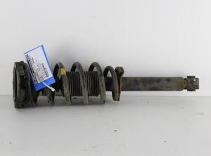 Suspension Strut NISSAN PRIMERA Estate (WP12)