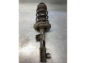 Suspension Strut FIAT PANDA (312_, 319_)