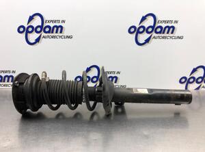 Suspension Strut VW GOLF VII Variant (BA5, BV5)