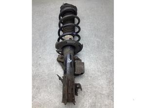 Suspension Strut FORD TRANSIT COURIER B460 Box Body/MPV