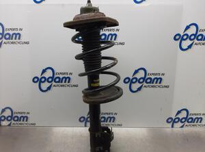 Suspension Strut FIAT SCUDO Van (220_), FIAT SCUDO Platform/Chassis (220_)