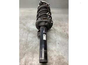 Suspension Strut SKODA ENYAQ iV SUV (5AZ), SKODA ENYAQ iV Coupe (5AC)