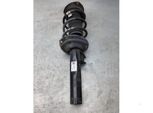 Suspension Strut SKODA KODIAQ (NS7, NV7, NS6)