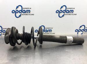 Suspension Strut BMW 5 (E60)