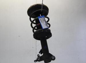 Suspension Strut NISSAN PRIMERA Estate (WP12)