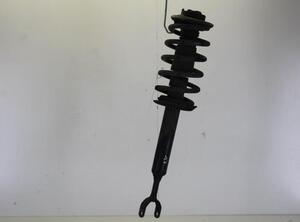 Suspension Strut AUDI A6 Avant (4B5, C5)