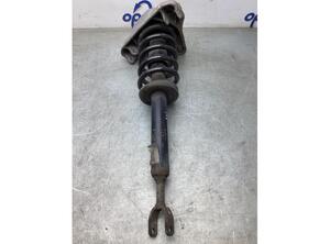 Suspension Strut AUDI A6 Avant (4F5, C6)