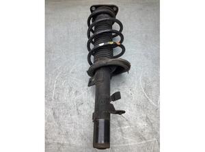 Suspension Strut FORD FOCUS III Turnier