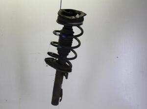 Suspension Strut RENAULT MEGANE II Estate (KM0/1_)