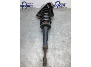 Suspension Strut AUDI A6 Avant (4F5, C6)