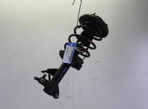 Suspension Strut NISSAN PRIMERA Estate (WP12)