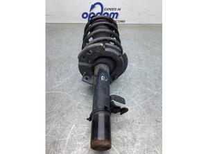 Suspension Strut FORD C-MAX II (DXA/CB7, DXA/CEU)