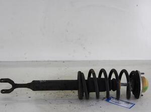 Suspension Strut VW PASSAT Variant (3B6)